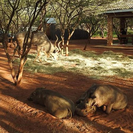 462 Bosbok Chalets Marloth Park Exterior foto