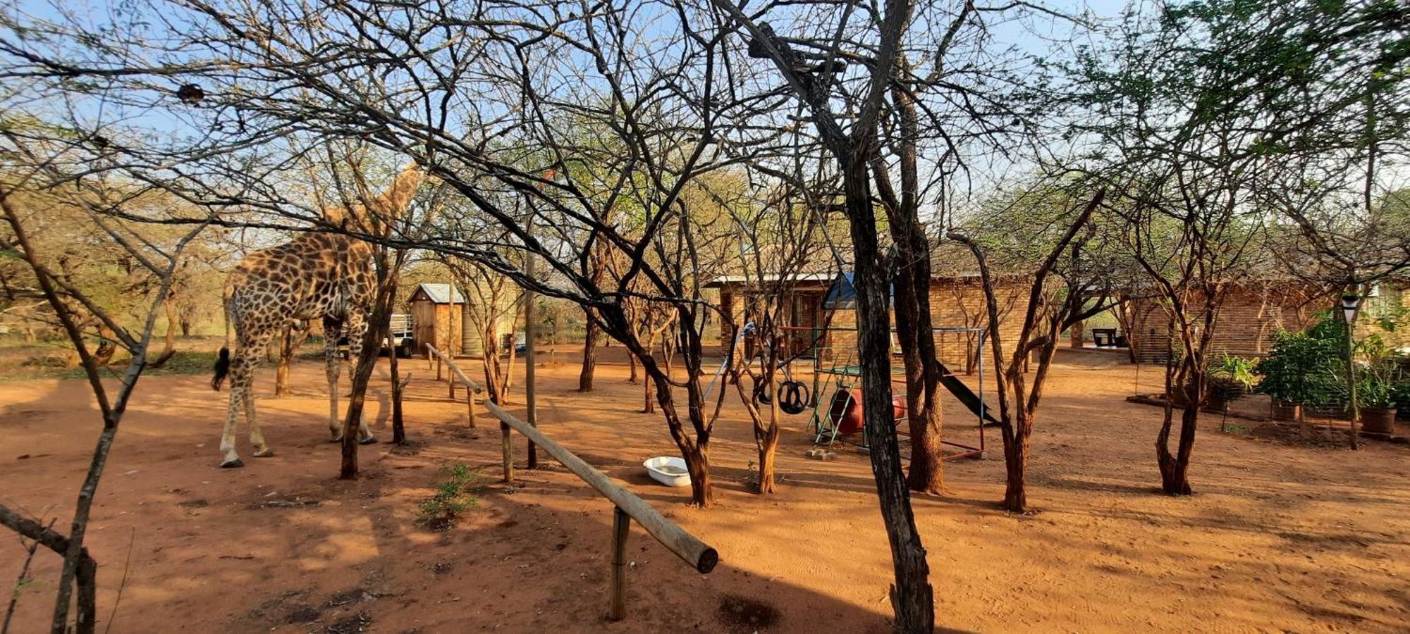462 Bosbok Chalets Marloth Park Exterior foto