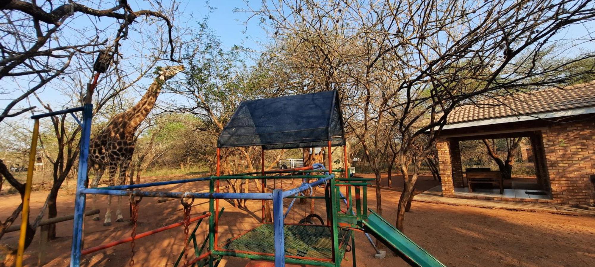 462 Bosbok Chalets Marloth Park Habitación foto